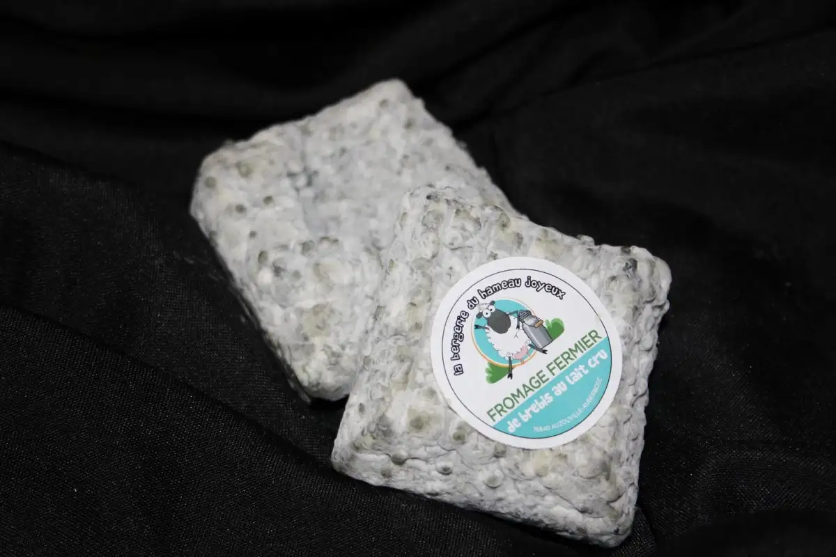 Pavé Auzouvillais Cendré