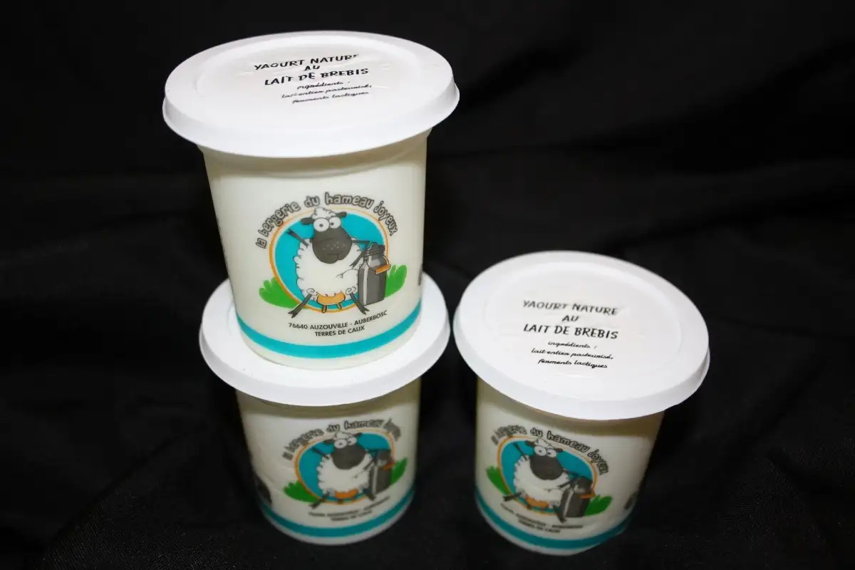 Yaourt nature